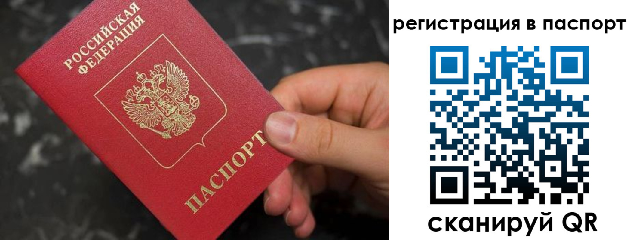 прописка для работы в Александрове